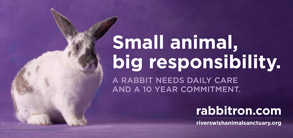 Small animal, big responsibility