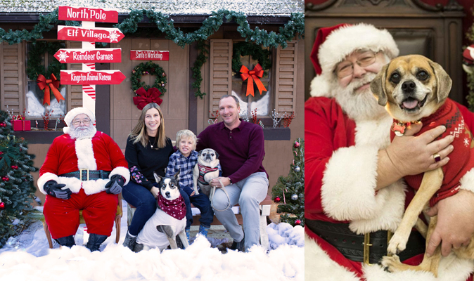 Santa photos family and pets