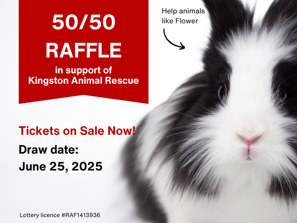 Spring 50/50 Raffle