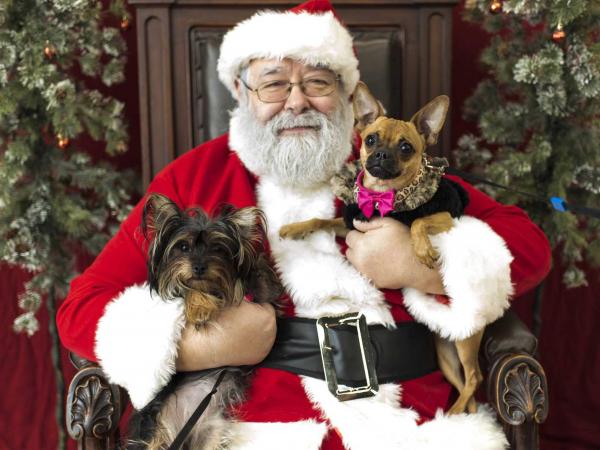 Santa with two dogs